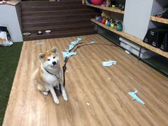 -YCHL Studios健身工作室(市二宫店)