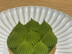 抹茶挞-猫里有甜