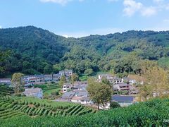 -龙井村