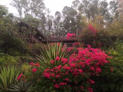 -深圳国际园林花卉博览园