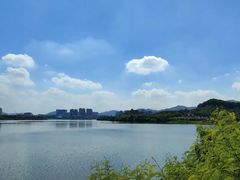 -麗枫酒店(深圳机场福永地铁站店)