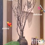 南山咖喱爱好者👋选