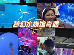 -芜湖新华联大白鲸海洋公园