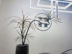 点击看大图 -羿刻互动·瑜伽雅集·瘦身·塑形