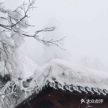 必须对这次震撼的雪景手动点赞