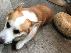 -771餐吧·咖啡·西餐·烤肉(金湖广场店)