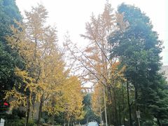 -重庆工商大学(南岸校区)