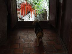 -东南悬空寺方广岩