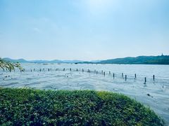 -湖畔居茶楼(湖滨店)