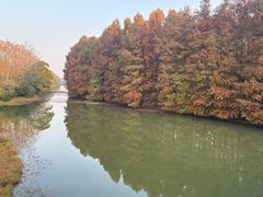 -上海海湾国家森林公园