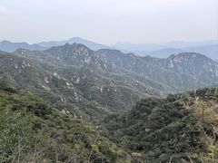 -大岭沟猕猴桃谷风景区