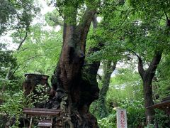 -来宫神社