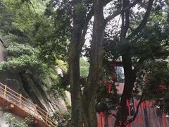 -罗田天堂寨风景区