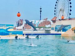 -秦皇岛乐岛海洋王国