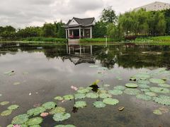 -映月湖公园