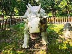 -上海海湾国家森林公园