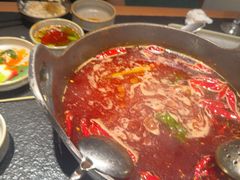 -大龙燚·旷野鲜火锅(广州首店)