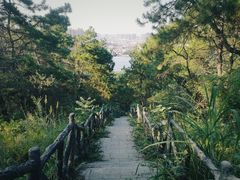 -青龙山国家森林公园