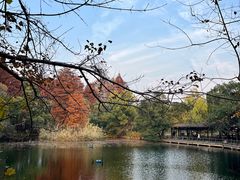 -东湖落雁景区
