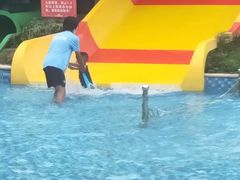 -苏州乐园森林水世界