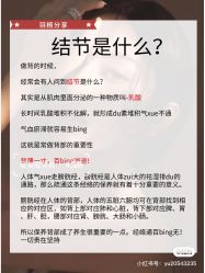 -香薇妮丝女子减肥院
