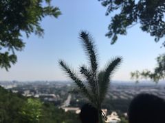 -吉野家(上地三街店)