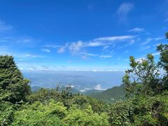 -武陵山森林公园