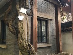 -嘉定紫藤园