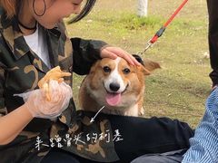 -范蠡湖公园