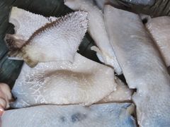 -孔庆璞河豚馆(白玉兰酒店)