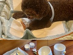 -蓝楹湾度假酒店