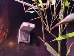 -正佳雨林生态植物园