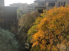 -上海崇明金茂凯悦酒店