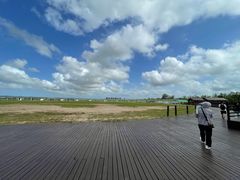 -盐城丹顶鹤湿地生态旅游区
