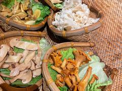 -滇野云南野生菌餐厅(陕西南路店)