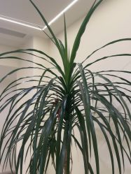 -JustHer宁波珈禾医疗美容医院