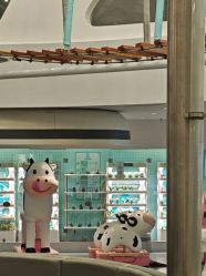 -MINI MARS 移动的空间站乐园·餐饮·派对(浦东金桥店)