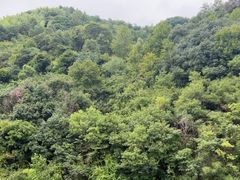 -新安江山水画廊风景区