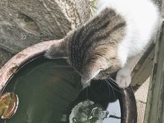 -又合书舍