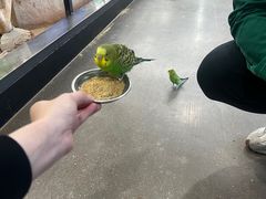 -昆明大悦城未来动物城(螺蛳湾中心店)
