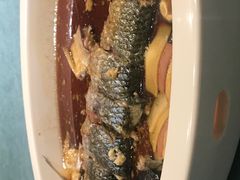 鸡油蒸鲜鲥鱼-新光酒家·河豚·海鲜·蟹料理(浦东店)