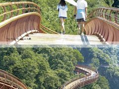 -少华山国家森林公园