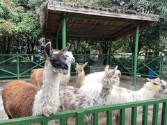 -杭州野生动物世界