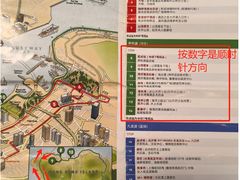 -Big Bus Tours 敞篷观光巴士
