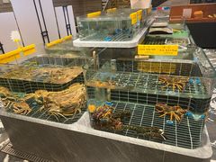 -品悦酒店(三林古镇店)