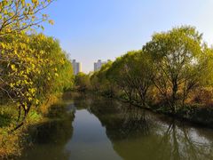 -新江湾城公园