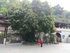 -乌山风景区