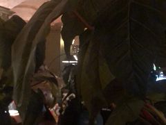 -凯撒城堡西餐厅(颐和国际店)