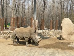 -北京野生动物园