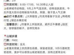 -观音桥步行街